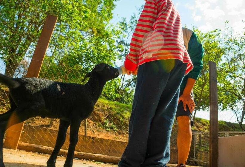 ホテル Fazenda Fonte Colina Verde
