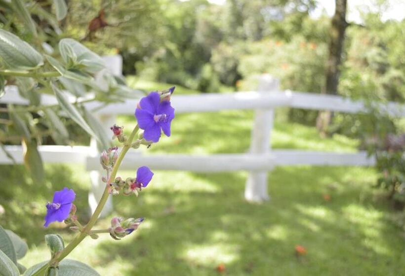 ホテル Fazenda Fonte Colina Verde