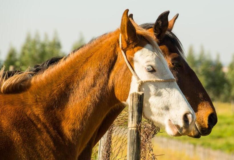 ホテル Fazenda Fonte Colina Verde