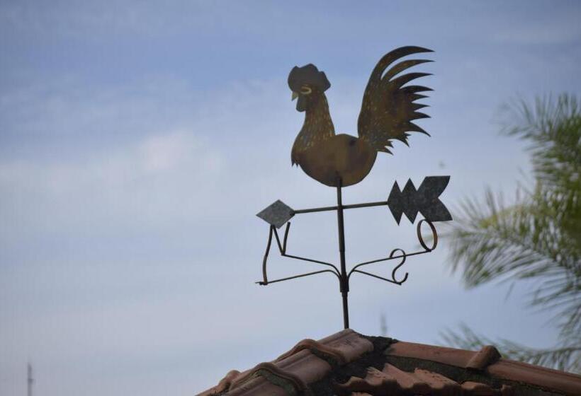 ホテル Fazenda Fonte Colina Verde