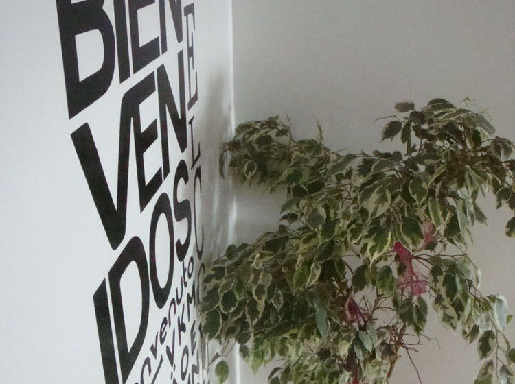 膳宿费 Meadow House