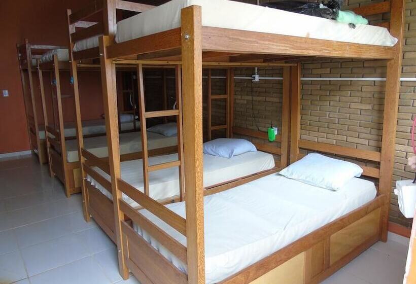 Amazon Eco Hostel