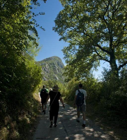 B&b Apart Hotel Paštrovski Konak