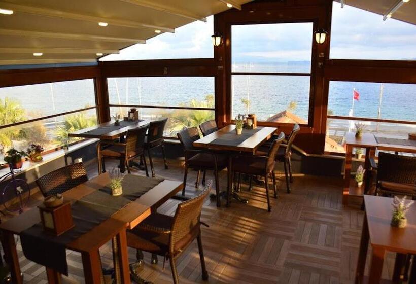 مبيت وإفطار Focamor Otel