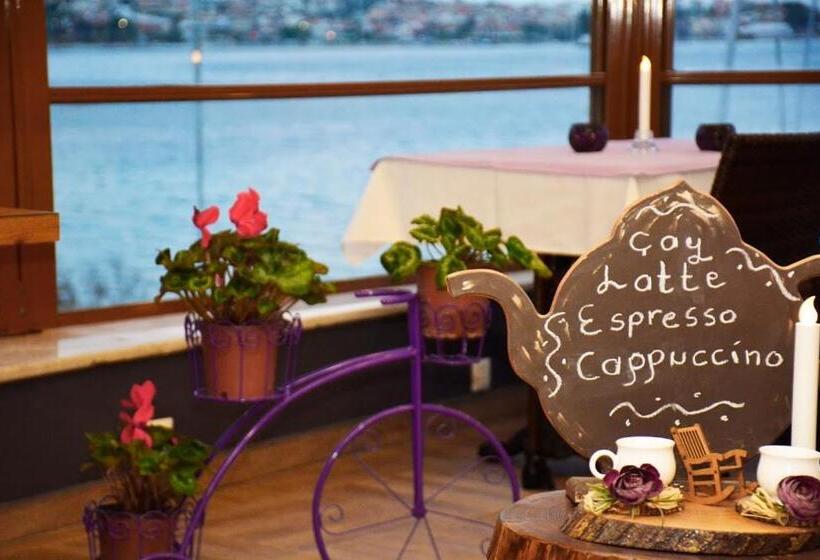 مبيت وإفطار Focamor Otel