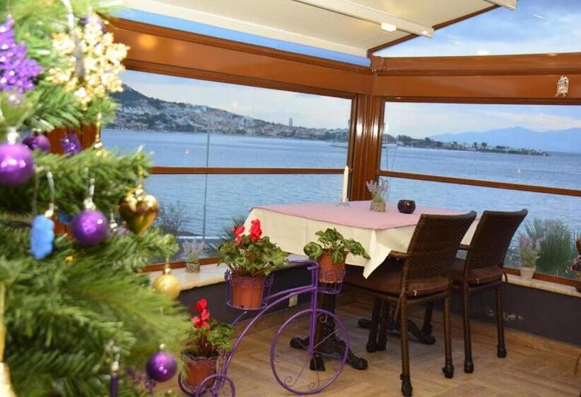 مبيت وإفطار Focamor Otel