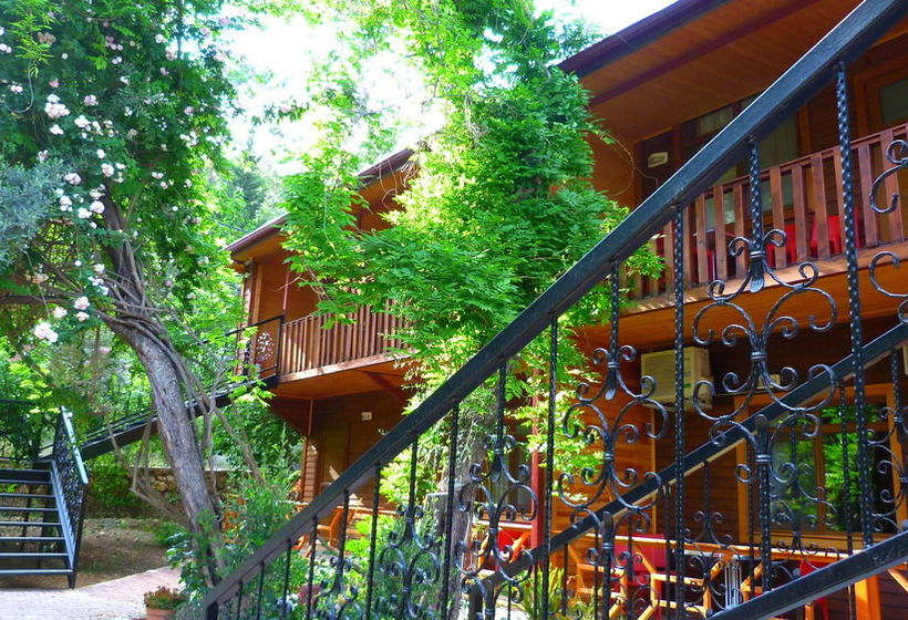 Cirali Simge Holiday Houses