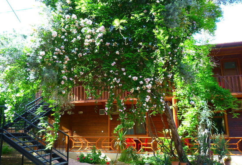 Cirali Simge Holiday Houses