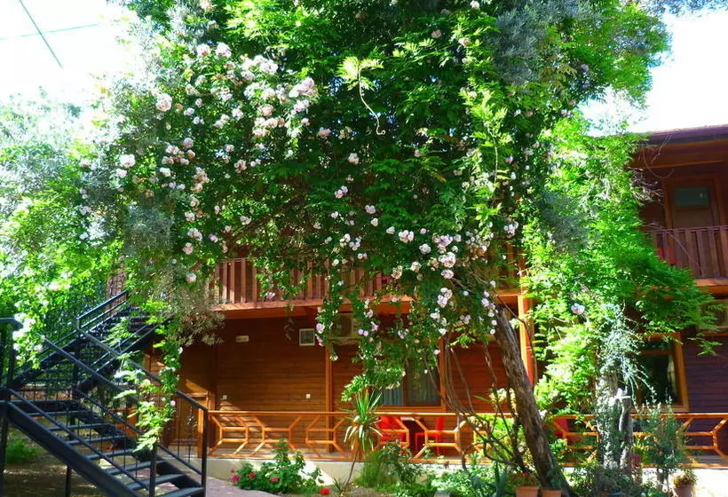 Cirali Simge Holiday Houses