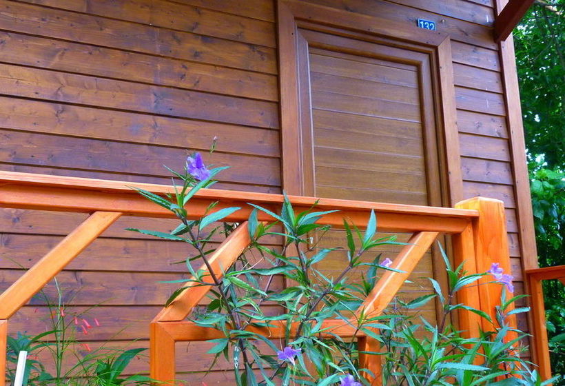 Cirali Simge Holiday Houses