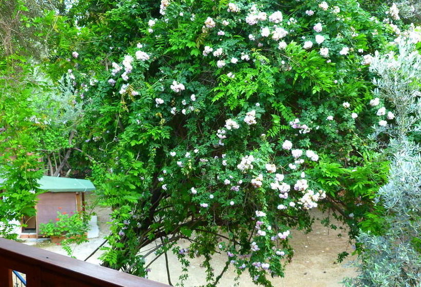 Cirali Simge Holiday Houses