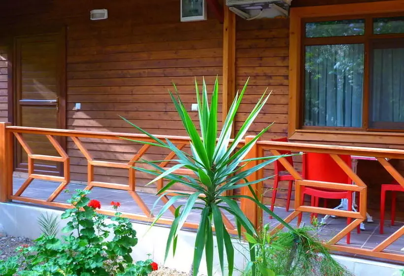Cirali Simge Holiday Houses