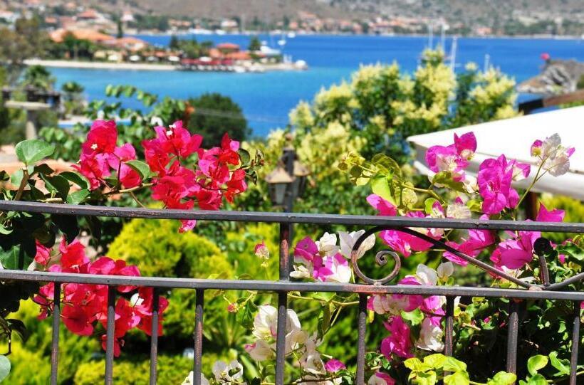 فندق Badem Tatil Evi