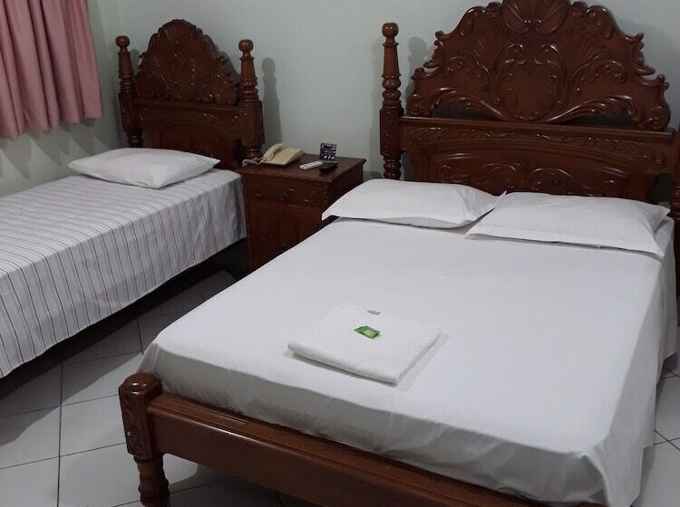 Отель Barão Do Rio Branco