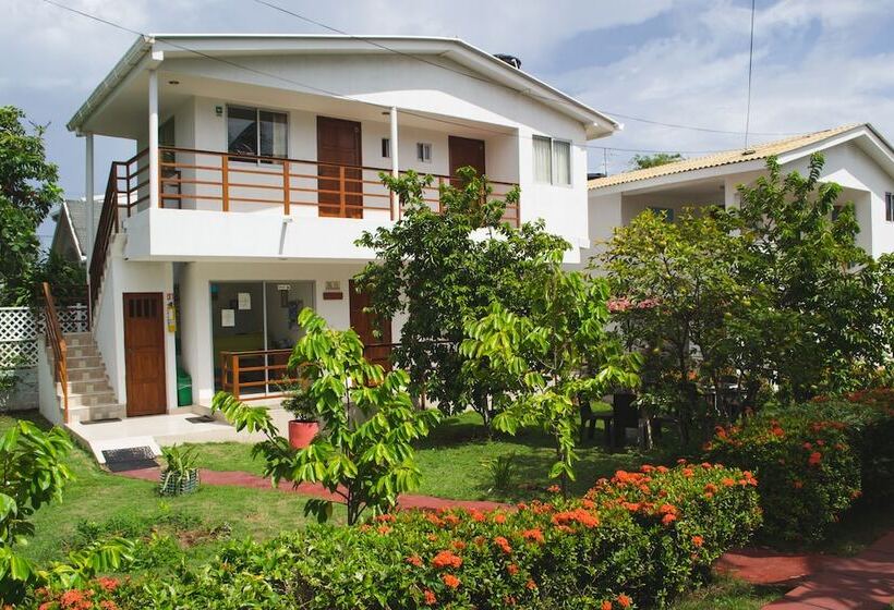 Отель Cabanas Green Yard