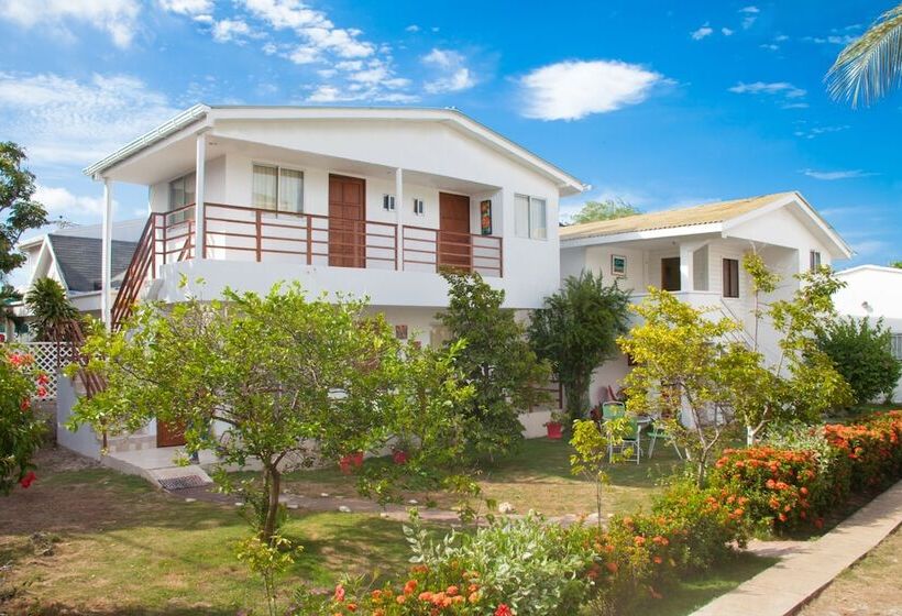 Отель Cabanas Green Yard