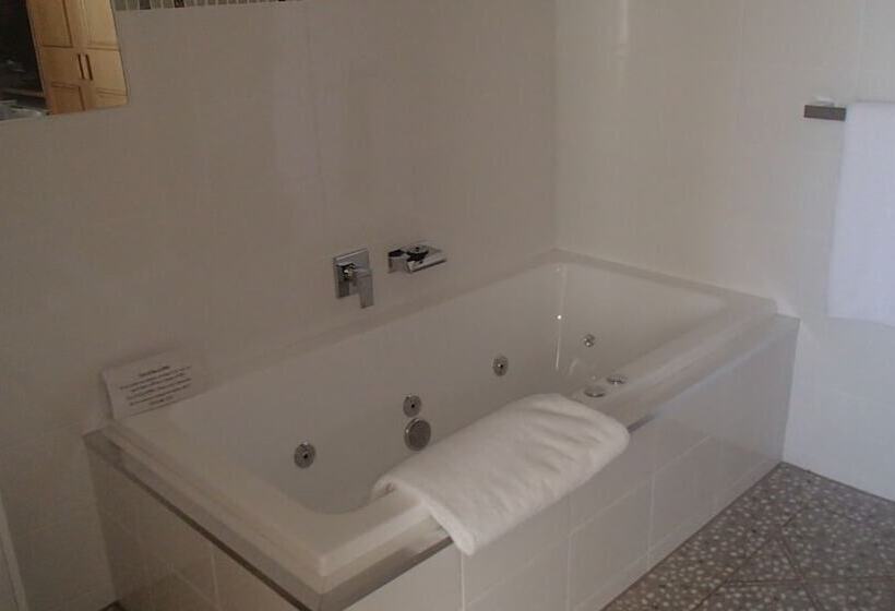 호텔 City Colonial Motor Inn