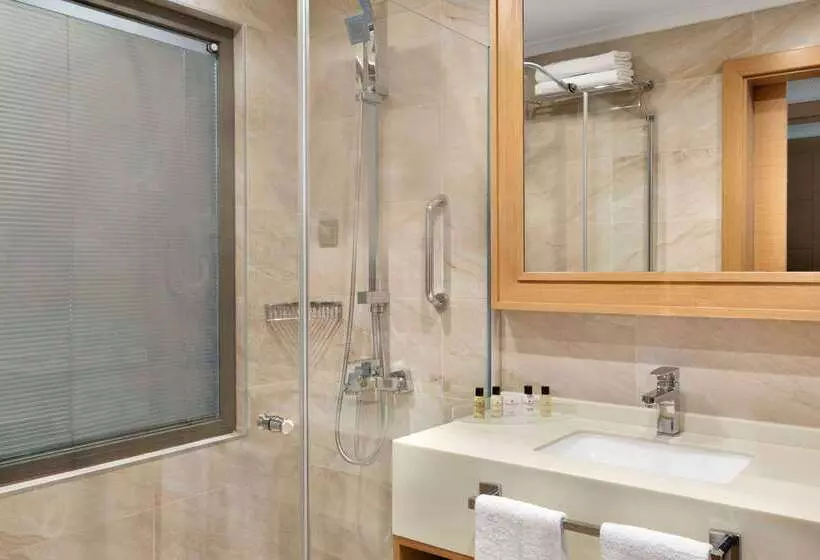 هتل Ramada By Wyndham Bursa Cekirge Thermal & Spa