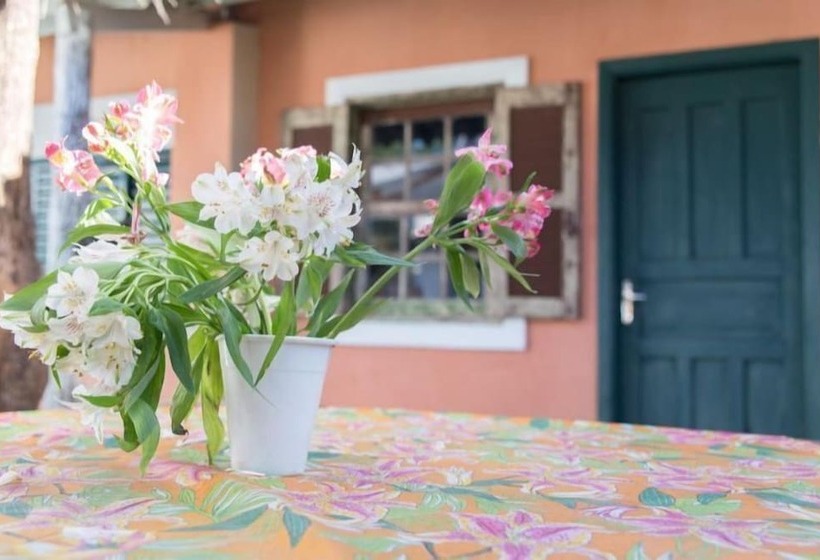 旅馆 Pousada Chácara Rama