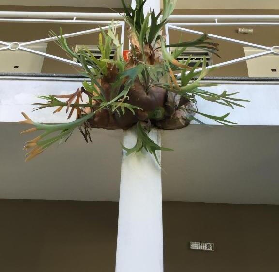 בית מלון כפרי Smart