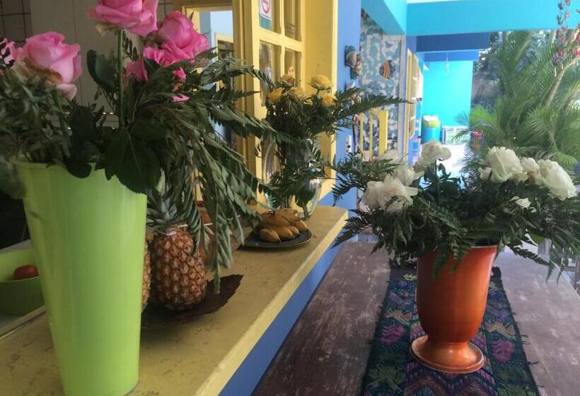 تختخواب و صبحانه Pousada Da Tina