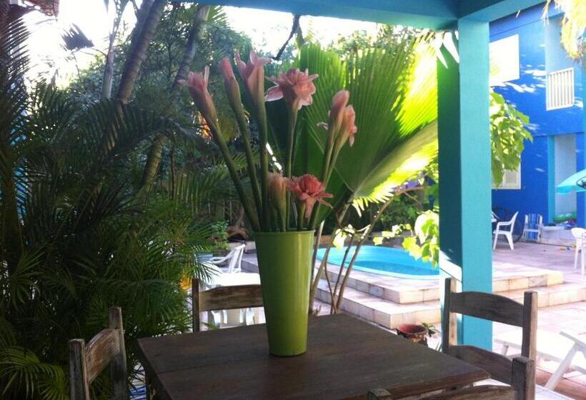 تختخواب و صبحانه Pousada Da Tina