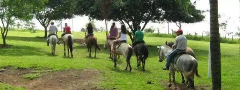 ホテル Fazenda Sete Lagos