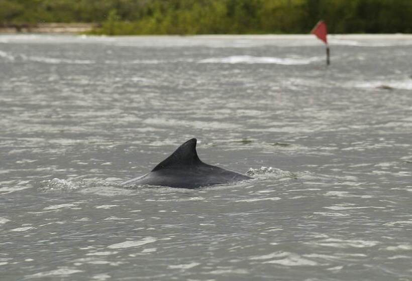 فندق Marina Clube De Pesca
