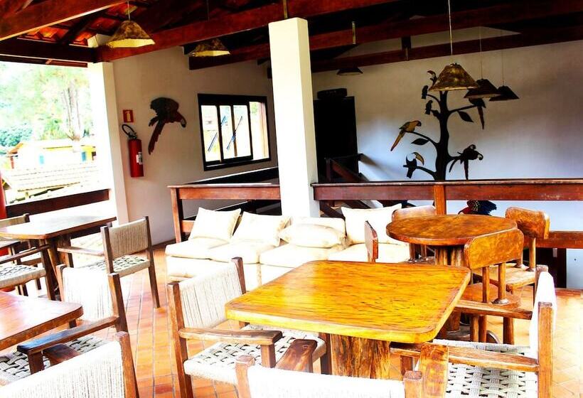 Отель Pousada Das Cachoeiras