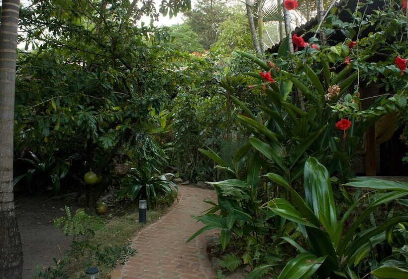 Отель Pousada Magia Da Terra