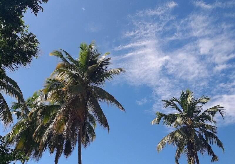 هتل Vila De Taipa Exclusive