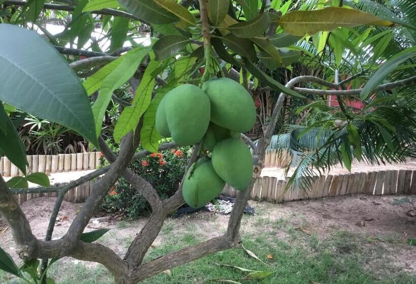 ベッドアンドブレックファースト Casa Do Jardim