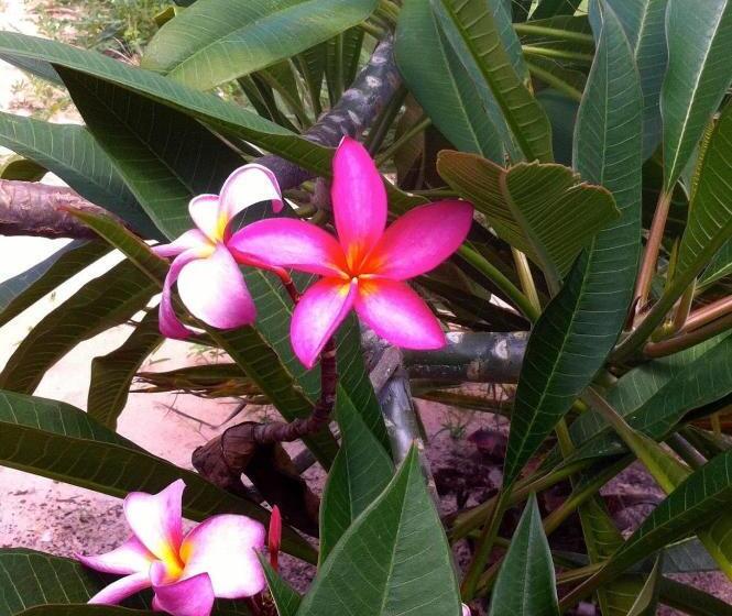 ベッドアンドブレックファースト Casa Do Jardim