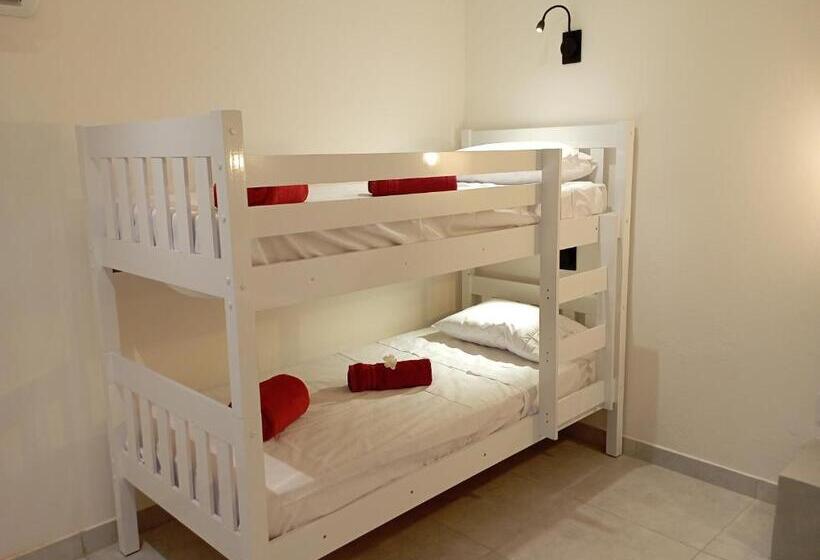 تختخواب و صبحانه Pousada Casa Do Cocotier