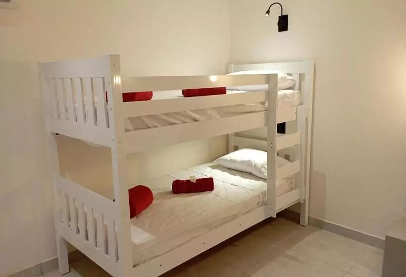 ベッドアンドブレックファースト Pousada Casa Do Cocotier