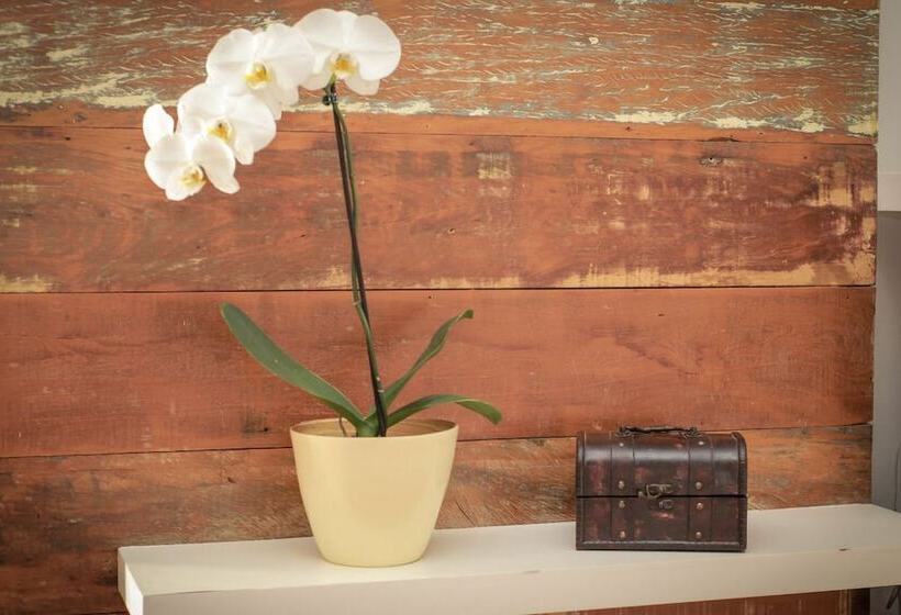 酒店 Pousada Parador Da Figueira