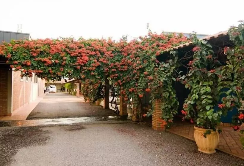 هتل Vila Romana Park