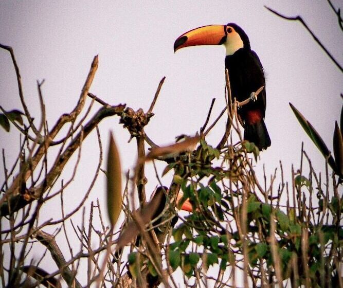 Parque Hotel Holambra