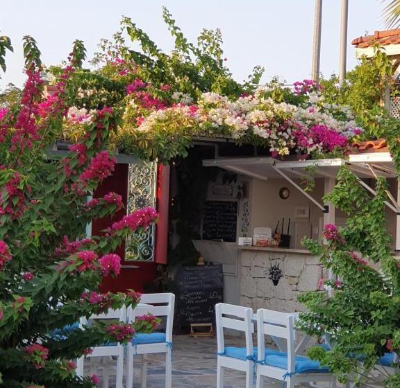 住宿加早餐 Cassiopeia Hotel Alacati