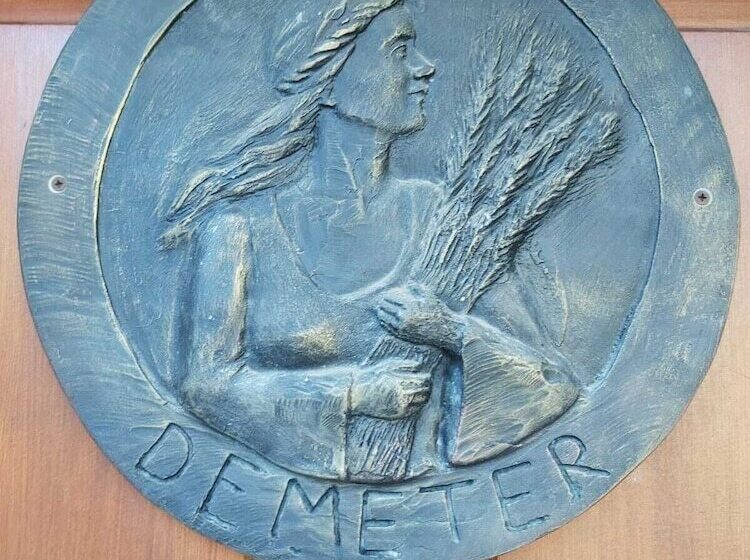 تختخواب و صبحانه şirince Klaseas Hotel&restaurant