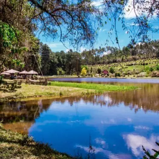 ホテル Fazenda Floresta Negra