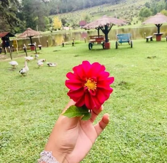 ホテル Fazenda Floresta Negra