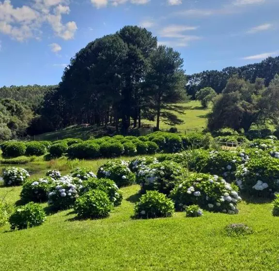 ホテル Fazenda Floresta Negra