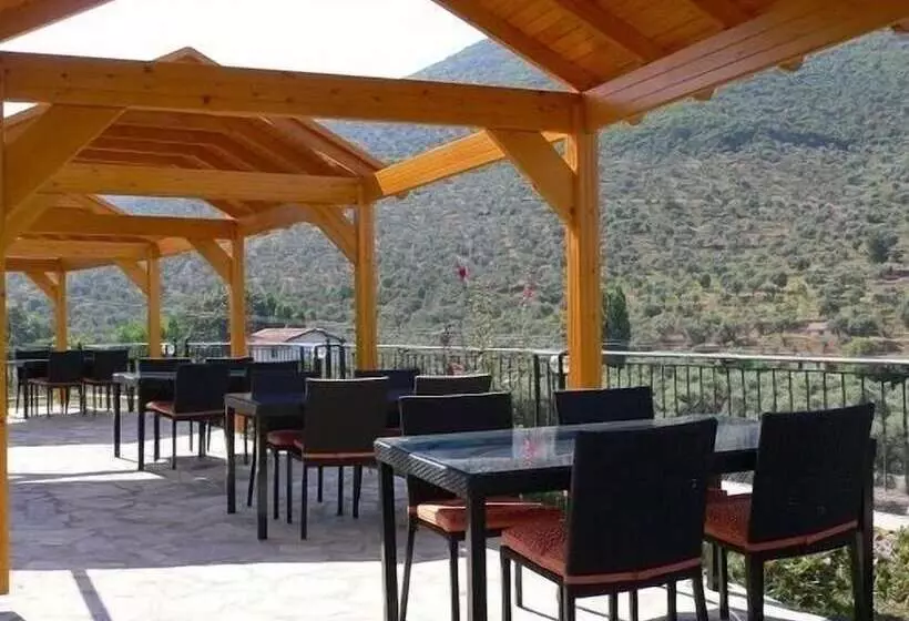 ホテル Natureland Efes Pension
