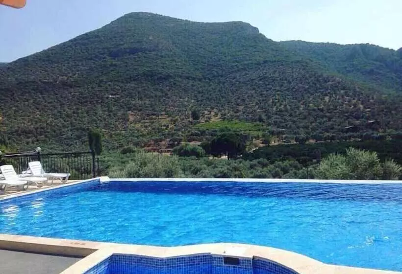 ホテル Natureland Efes Pension