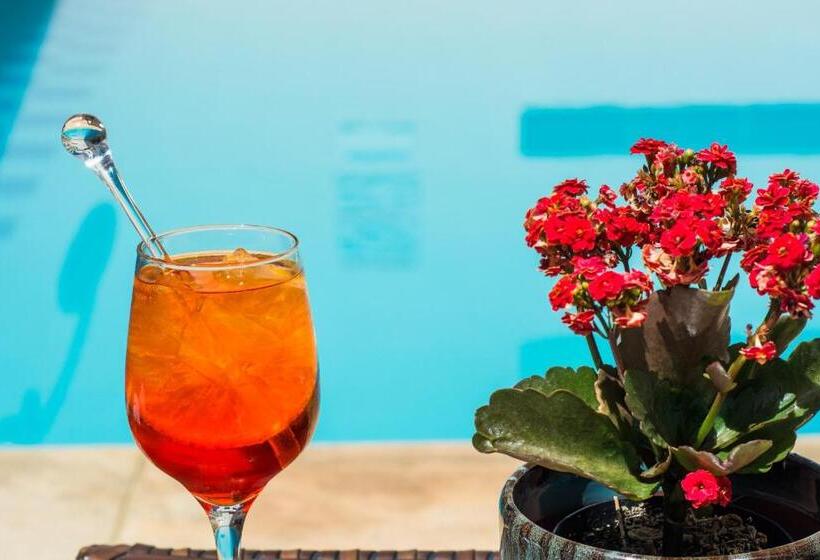 호텔 Serra Negra Palace