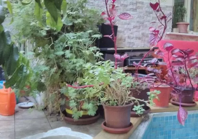Lotus Garden Hostel Izmir