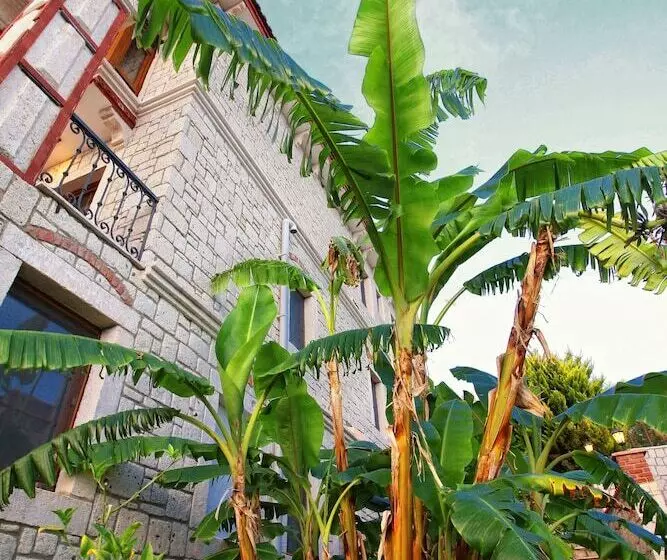Pasha Port Hotel & Restaurant