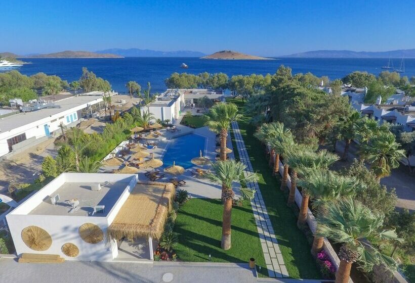 Regia Mare Beach Hotel & Spa Bodrum