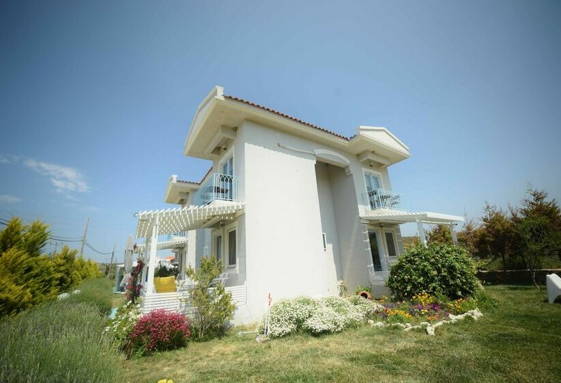 تختخواب و صبحانه Aspasia House